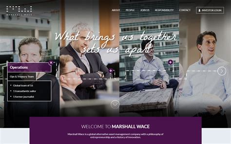 financial services website design  stunning examples