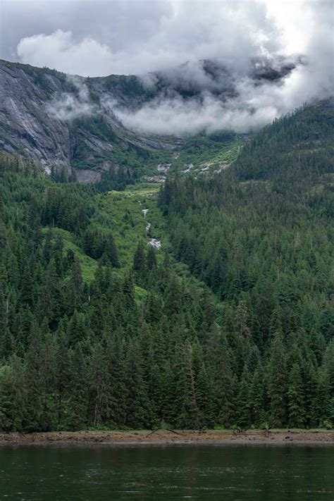 Why Is The Tongass National Forest So Important