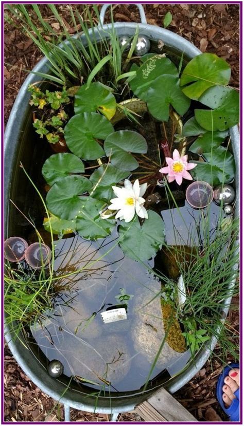 25 Awesome Backyard Ponds And Water Garden Landscaping Ideas Aux