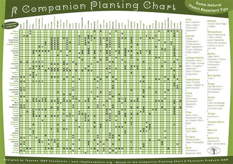 Companion Planting Chart Rgardening