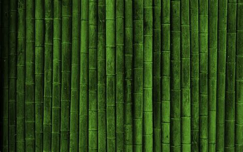 Bamboo 1080p 2k 4k 5k Hd Wallpapers Free Download Wallpaper Flare