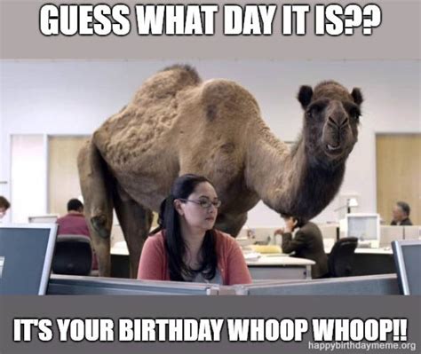 Maybe you would like to learn more about one of these? 21 Funniest The Office Birthday Meme - Happy Birthday meme