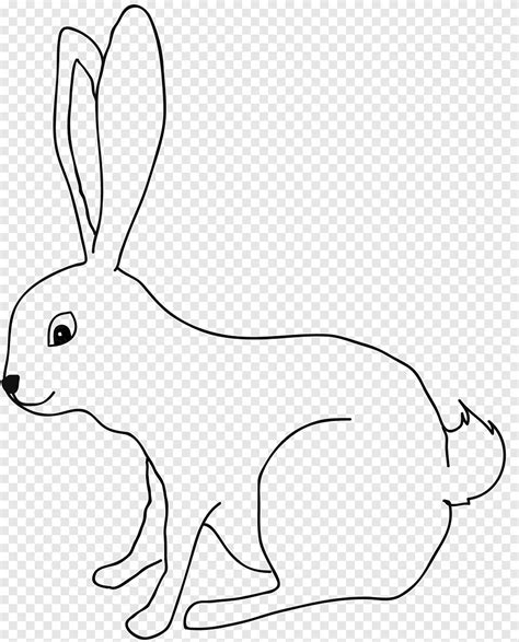 Kelinci Mewarnai - Gambar Kelinci Untuk Mewarnai Anak Paud Bunny
