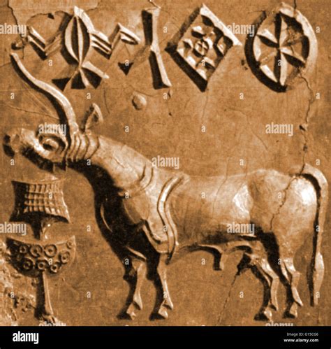 A Seal With A Unicorn Relief Found In Mohenjo Daro Mound Of The Dead