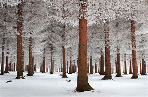 20 Breathtaking Photos Of Winter Landscapes Bored Panda