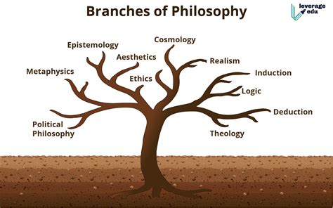 Main Branches Of Philosophy Metaphysics Axiology Logic Leverage Edu