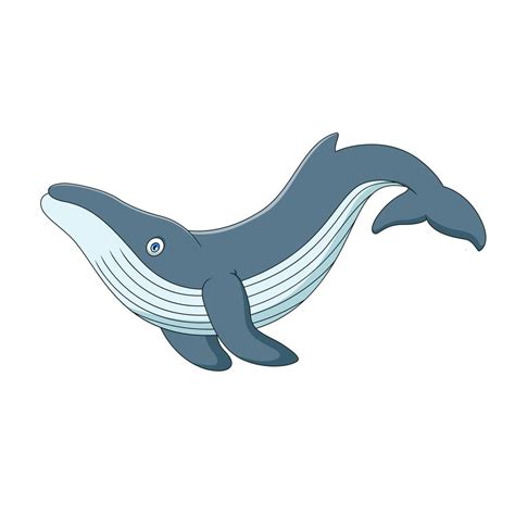 Cartoon Cute Blue Whale Cartoon Illustration Of Marine Mammal 11674071