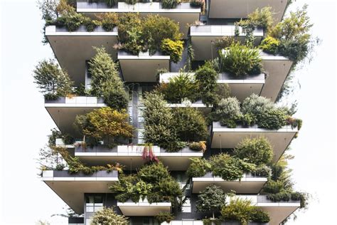 Vertical Forests Reduce Energy Use Improve Urban Air Quality What