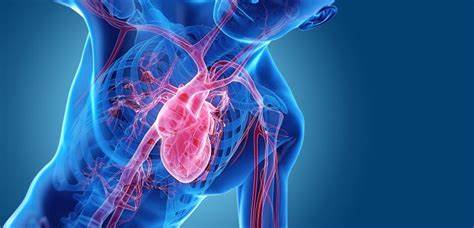 Сердечная недостаточность диета стол Сердечная недостаточность - признаки, причины, симптомы, лечение и Сердечная недостаточность - признаки, причины, симптомы, лечение и Сердечная недостаточность диета стол