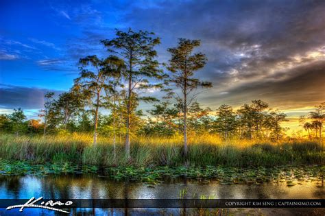 Sunset At The Loxahatchee Slough Wetland In Palm Beach Gardens Florida