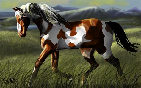 A Paint Horse