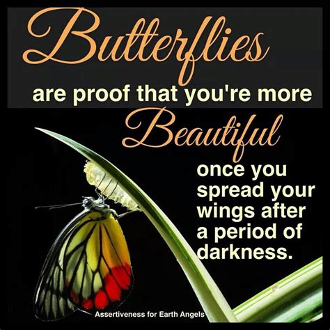 What We Can Learn From A Butterfly Inspiration Can Be Found Everywhere Butterfly Quotes