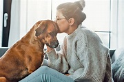 So zeigen Sie Ihrem Hund, dass Sie ihn lieben | herz-fuer-tiere.de