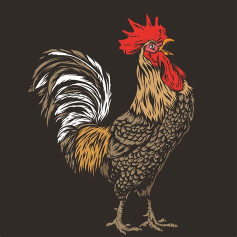 Rooster Vector Art Icons And Graphics For Free Download