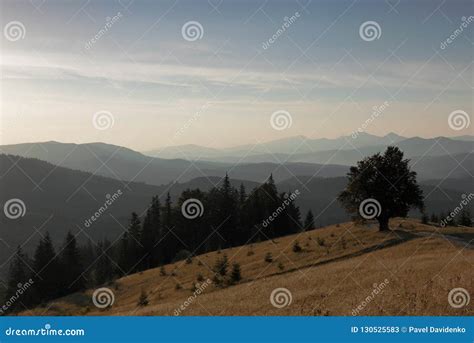 Mountain Landscape Lonely Tree Near The Hiking Path Stock Image