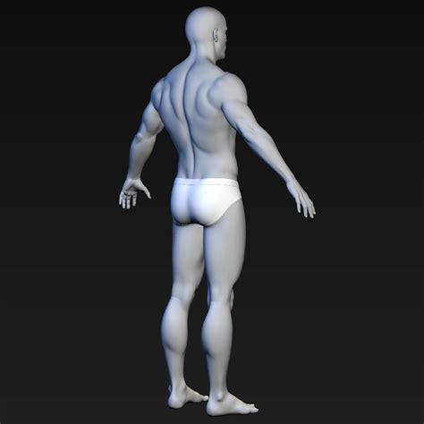 Realistic Male Body Character Max