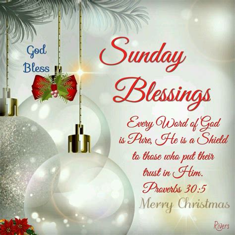 Sunday Blessings Proverbs 305 Christmas Sunday Blessings Blessed