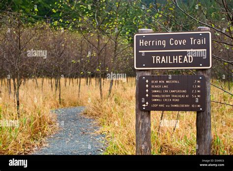 Herring Cove Trail Head Tongass National Forest Sitka Alaska Usa