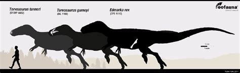 Largest Meat Eating And Plant Eating Dinosaurs Discovered In Europe Carnivora