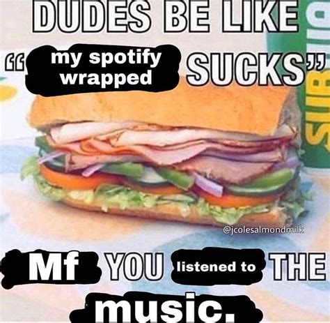 My Spotify Wrapped Sucks Mf You Listened To The Music Dudes Be Like