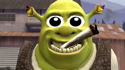Download Meme Shrek Funny Face Png And  Base