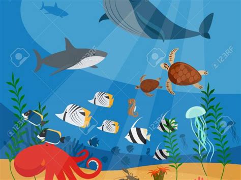 Ocean Clipart Ocean Habitat Ocean Ocean Habitat Transparent Free For