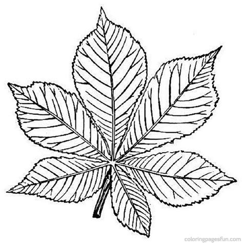 Printable Pictures Of Leaves - Coloring Home