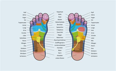Fußreflexzonen Die Füße Stellen Den Gesamten Körper Dar • Apovital