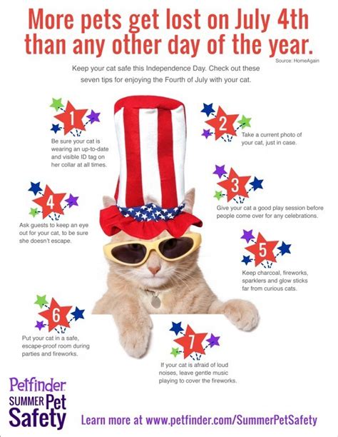 Tips To Keep Your Pets Safe During July Fourth Celebrations Great