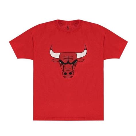 Outerstuff Nba Youth Chicago Bulls Primary Logo T Shirt Teams From