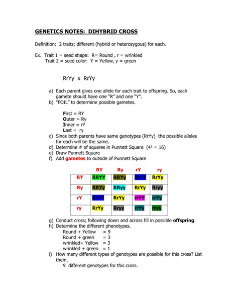 Dihybrid cross worksheet with answer key. Bestseller: Chapter 10 Dihybrid Cross Worksheet Answers Key