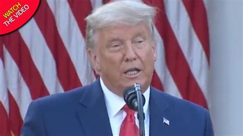 donald trump s grey hair during press conference leaves viewers baffled mirror online