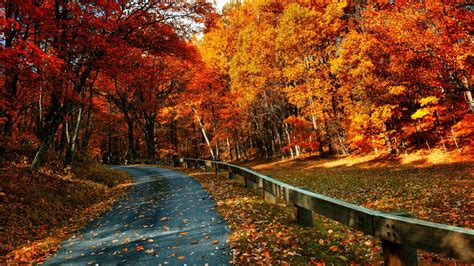 Autumn Love Wallpapers Top Free Autumn Love Backgrounds Wallpaperaccess