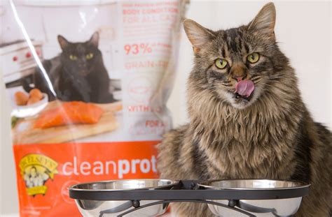 Pure balance, frontline, purina one, iams Dr. Elsey's cleanprotein Now at PetSmart Canada | Pet Age