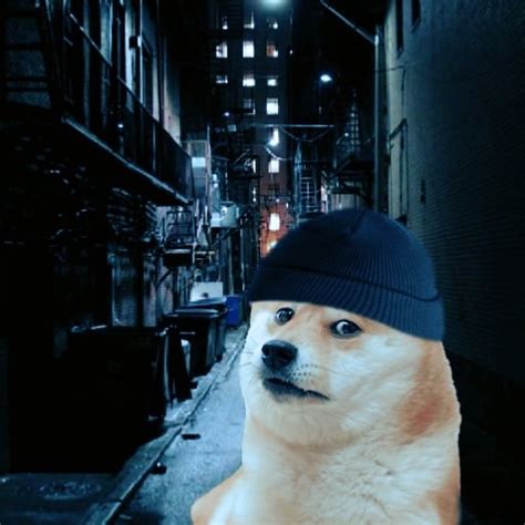 Doge Doomer Rdogelore