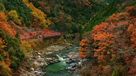 Trees Landscape Colorful Forest Fall Leaves Water Rock Nature