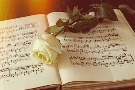 This is a great collection of the 15 best christian funeral poems for a lost love one. 11 Popular Funeral Hymns and Songs for Religious Services