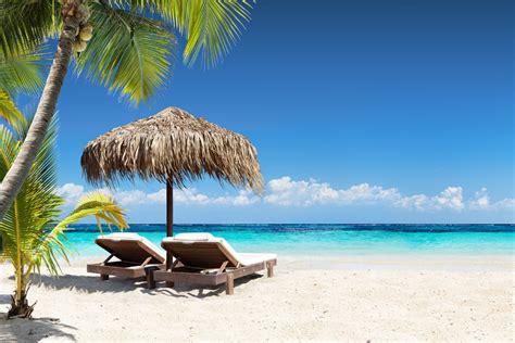 Amazon Com Coral Beach Lounge Chairs Palapa Tropical Palm Tree Photo