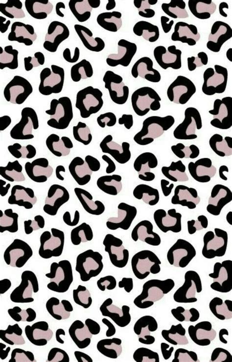 Cute Leopard Print Wallpapers Top Free Cute Leopard Print Backgrounds