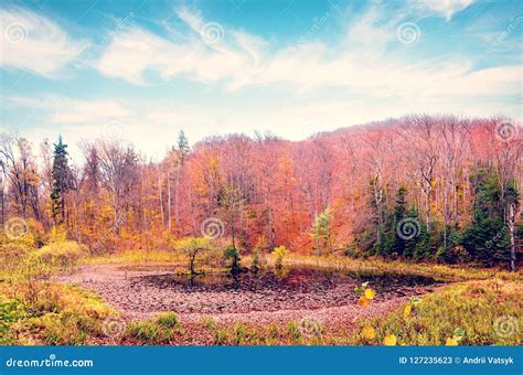Beautiful Magic Captivating Landscape With Lake In Autumn Forest Stock