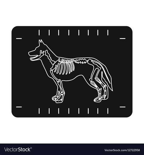 X Ray 20clipart Clipart Panda Free Clipart Images