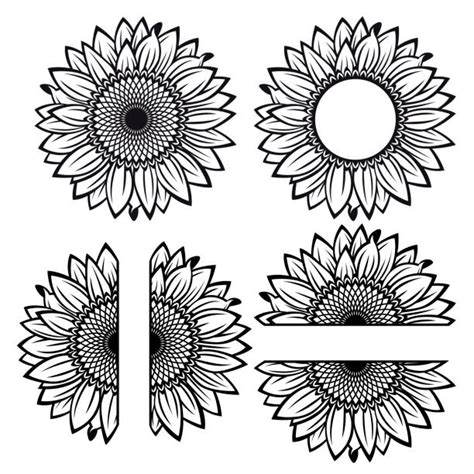 Sunflower7 Illustrations Royalty Free Vector Graphics And Clip Art Istock