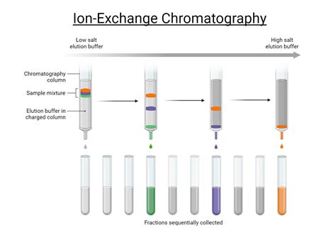 Ion Exchange Chromatography Principle Parts Steps Uses
