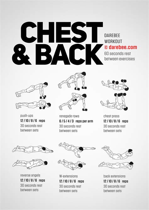 Chest And Back Exercises At Home Exercisewalls