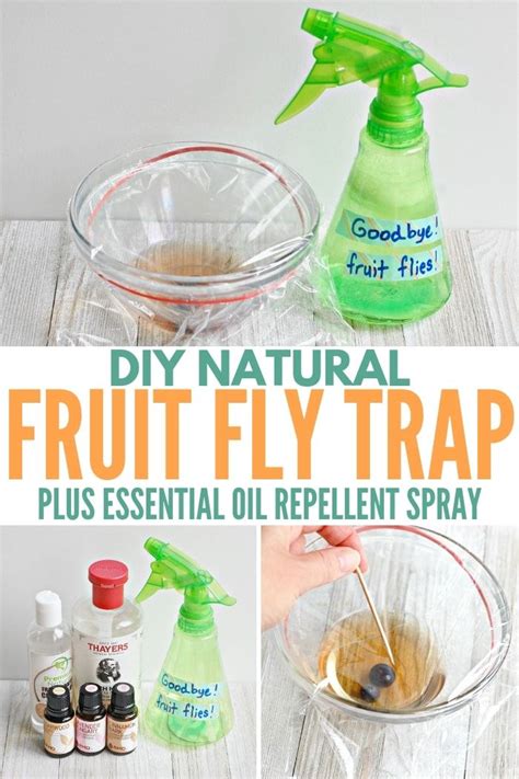 Diy Natural Fruit Fly Trap Essential Oil Spray Living Well Mom