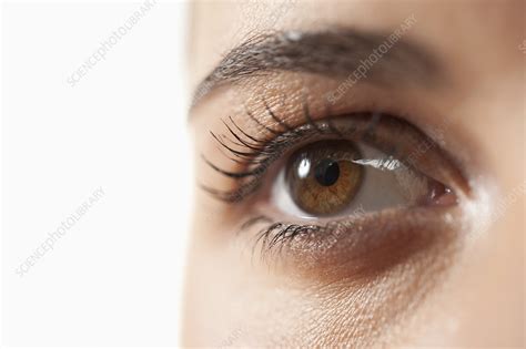 Close Up Of Human Eye Stock Image F0036714 Science Photo Library