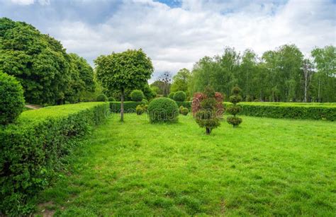 Topiary Art In Park Design Trimmed Trees And Shrubs In A Summer City Park Stock Image Image