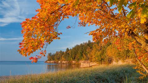 Autumn Lake Trees Landscape Michigan Wallpapers Hd Desktop And