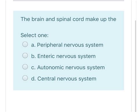 Higher rates of aneurysms are seen in women than men, according to web md. Solved: The Brain And Spinal Cord Make Up The Select One ...