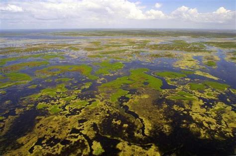 Everglades Restoration Sierra Club